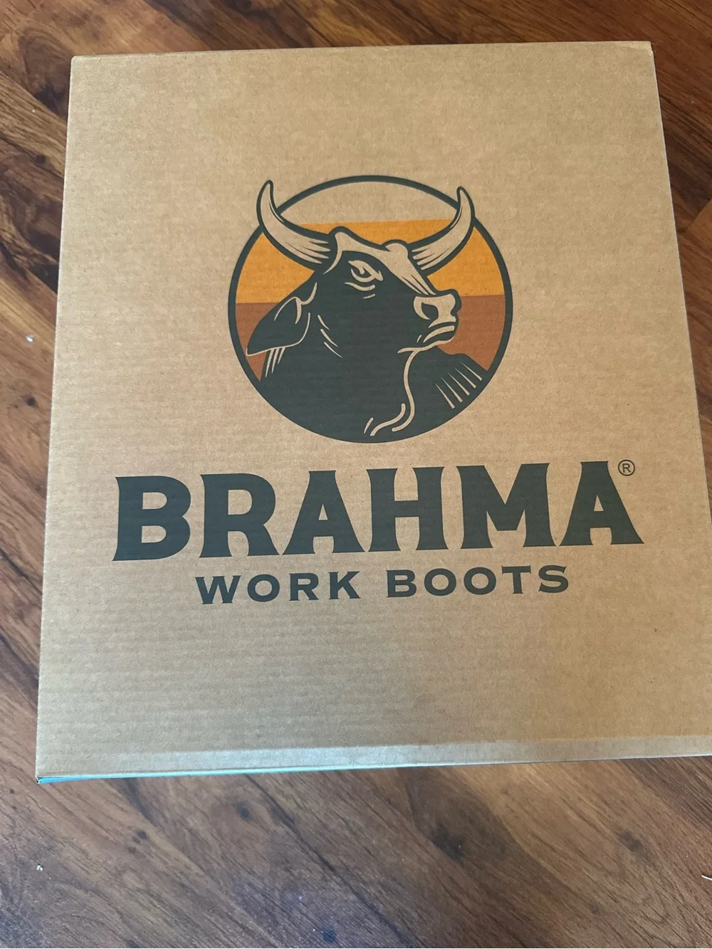Brahma Brown and Black Men's Waterproof Hiking Boot with Orange Accents